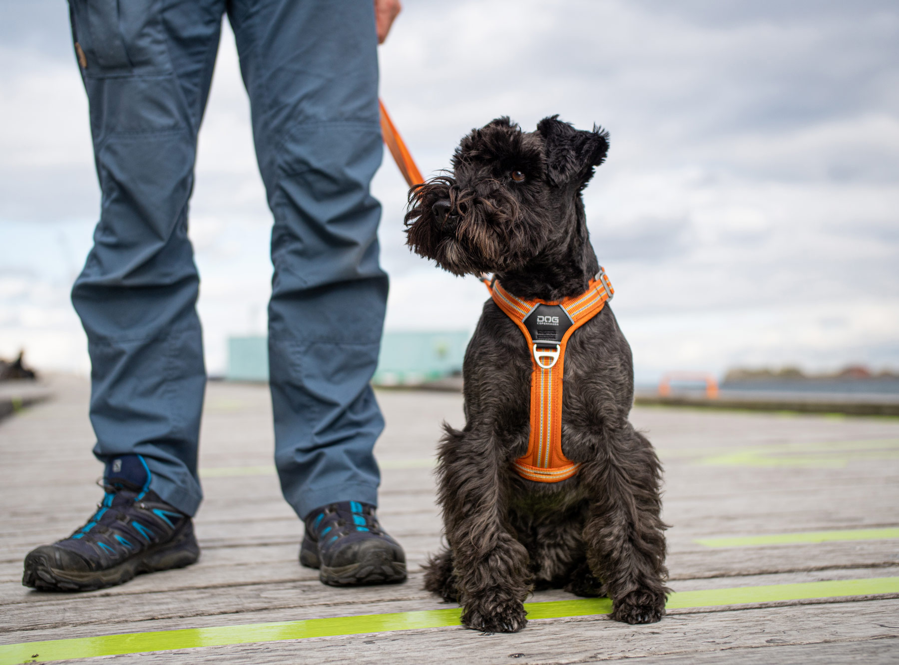 DOG Copenhagen Comfort Walk Air Harness