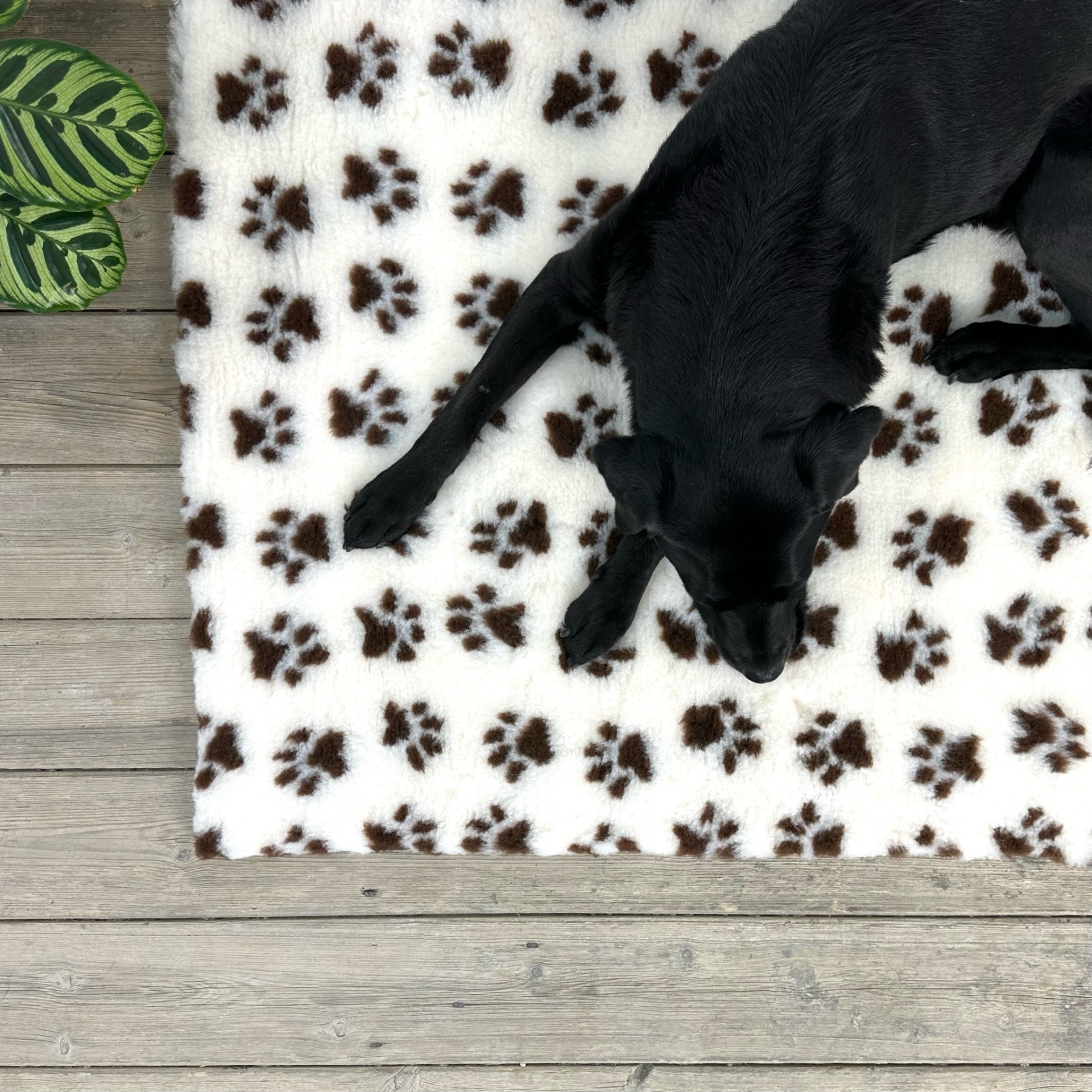 Cream with Brown chocolate Non Slip Vet Bedding. Vet bed cut in squares