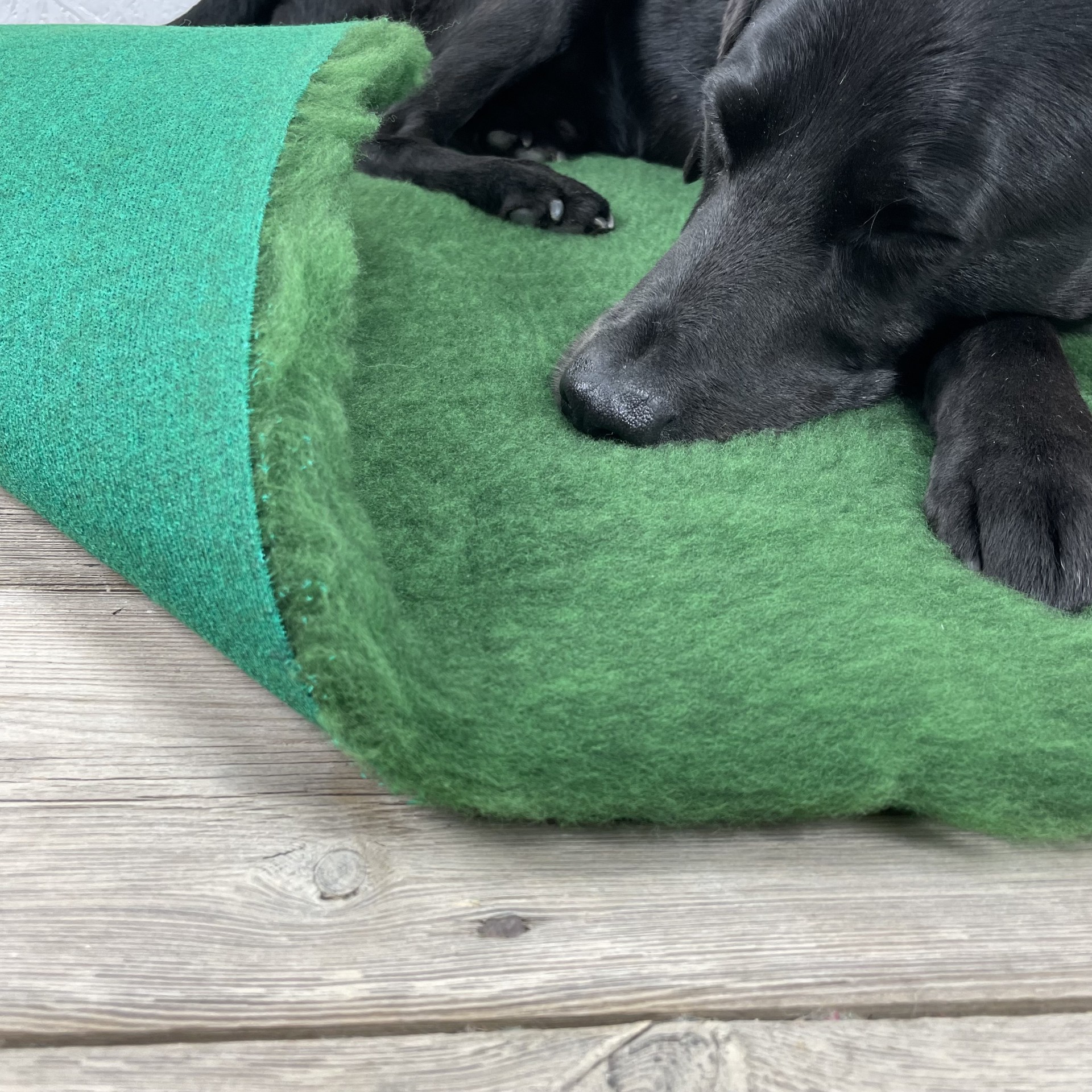 Plain Green Traditional vet bedding,vet bed cut in squares or rolls Dog