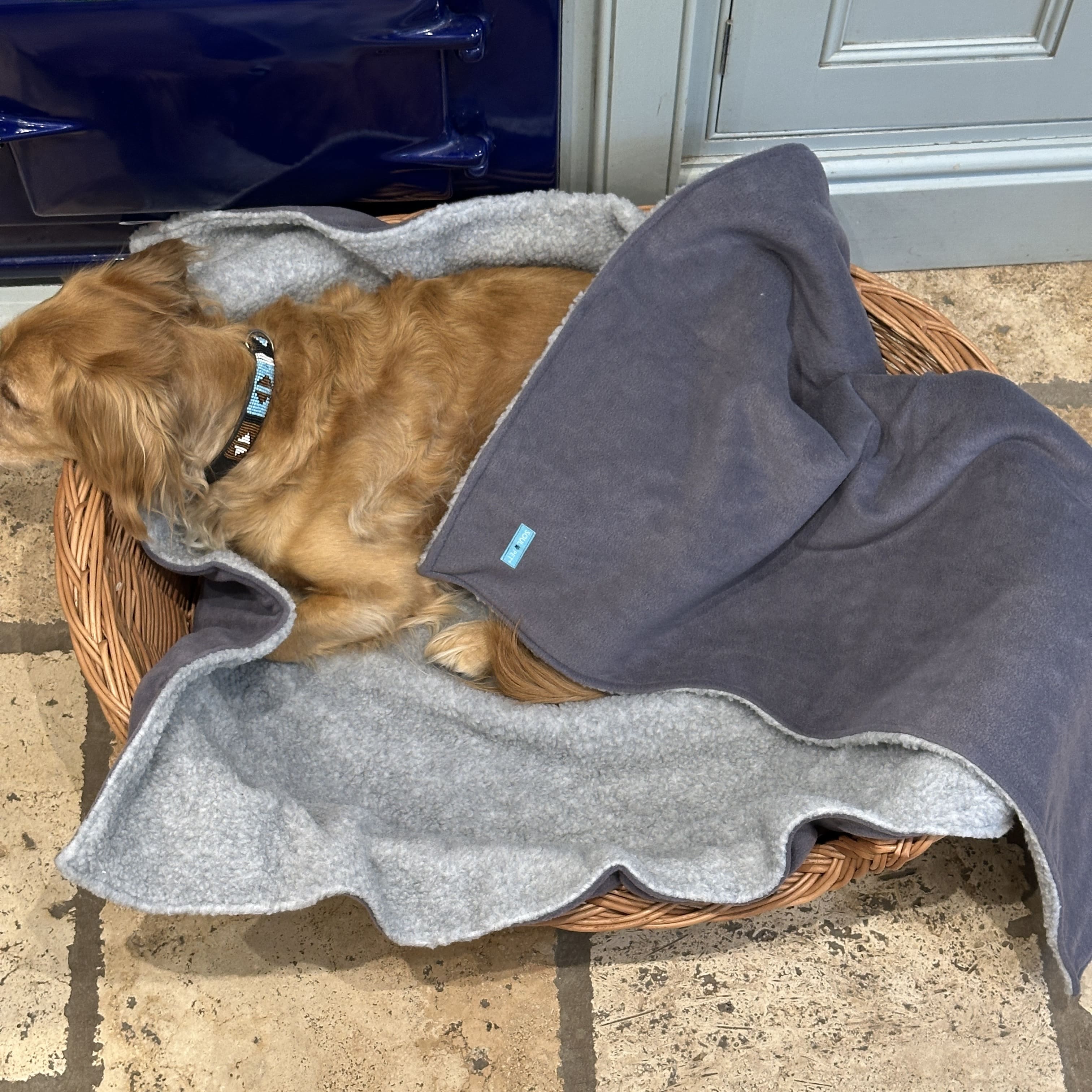 SoulPet Plush Country Grey Fleece Dog Blanket with Sherpa Fleece