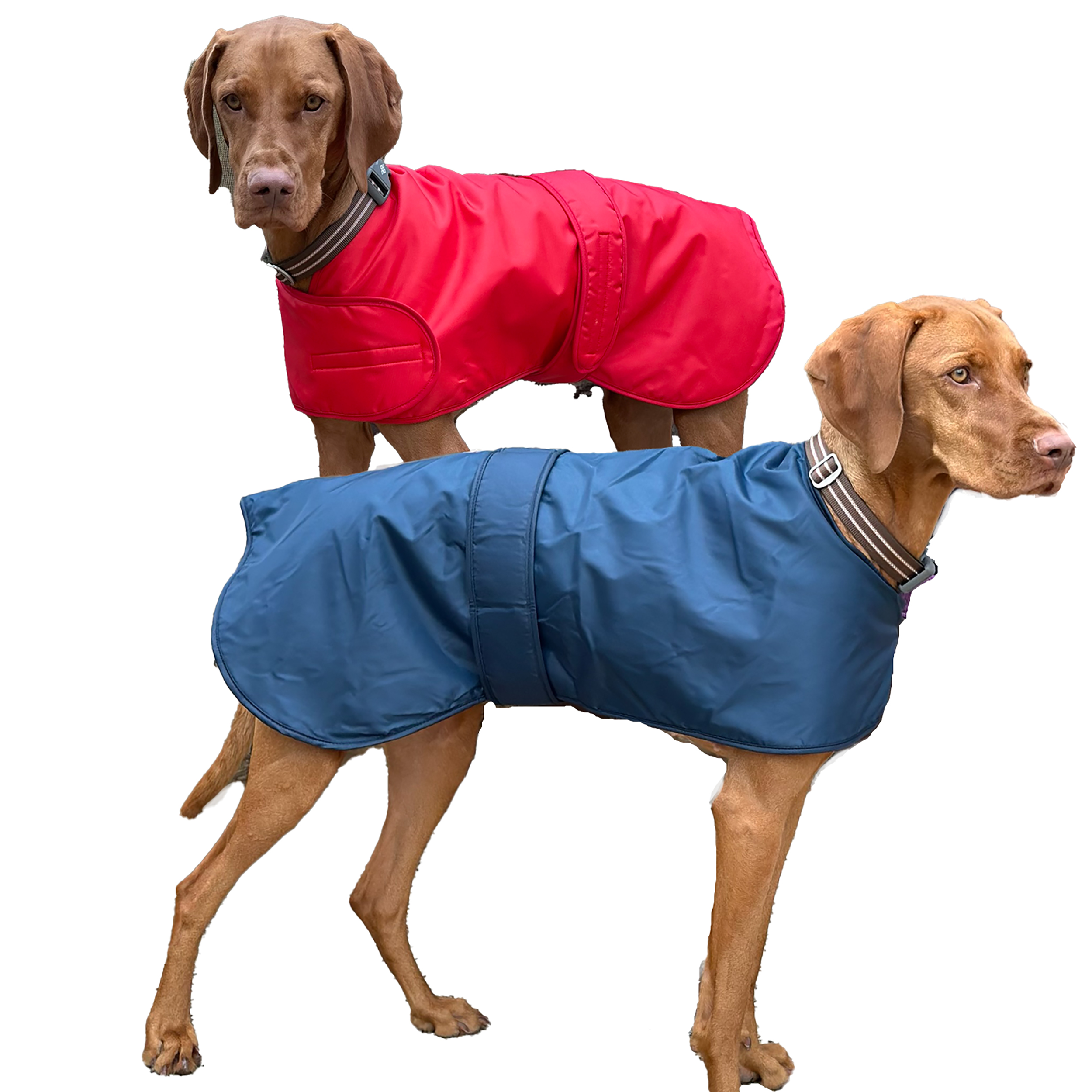 Winter Coat Waterproof Furlined All-Weather Dog Coat In colours