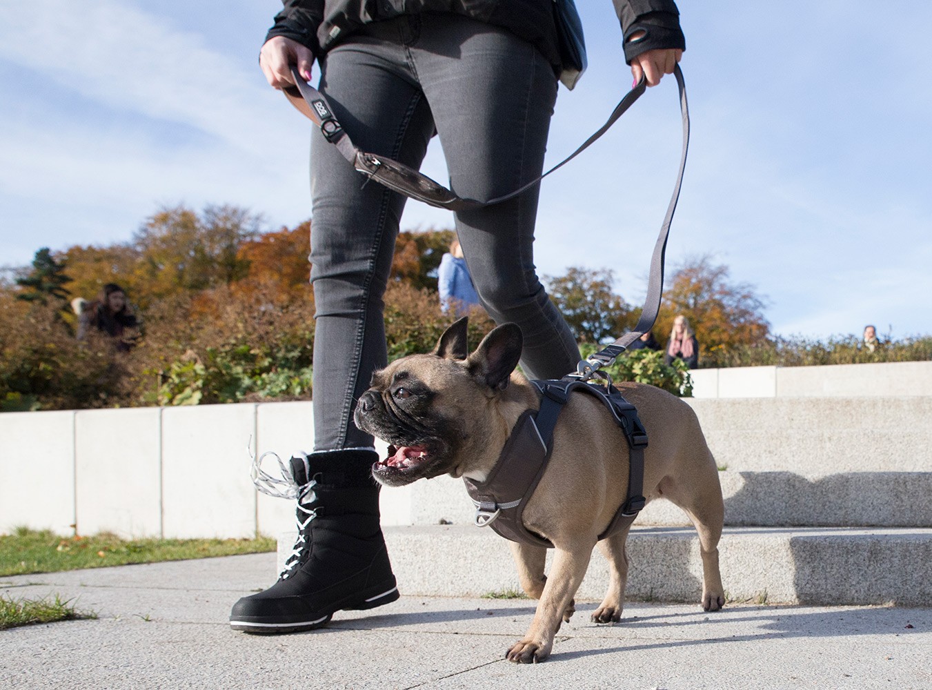 DOG Copenhagen Urban Explorer Dog Collar