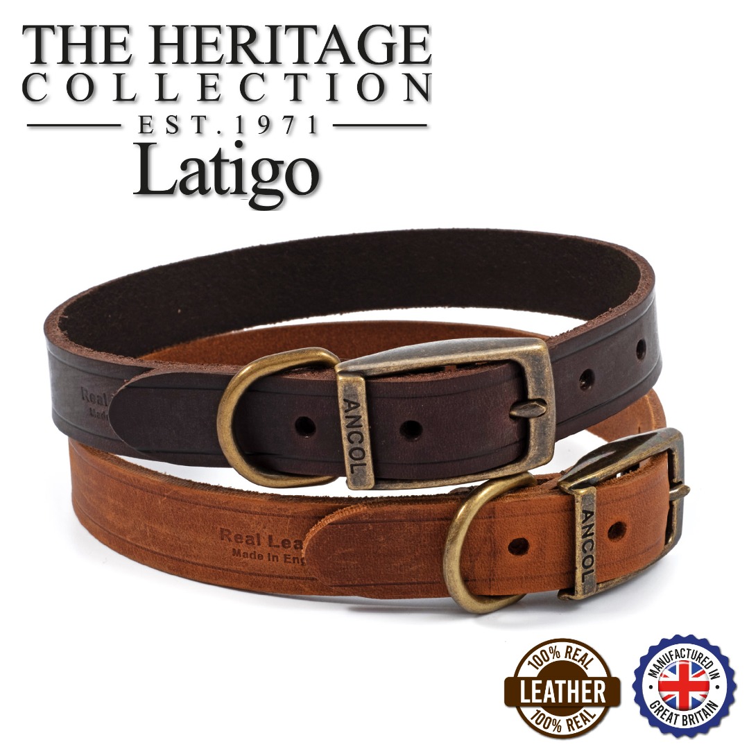 Ancol Heritage Latigo Leather Dog Collar