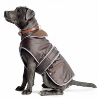 barbour dog coat purple