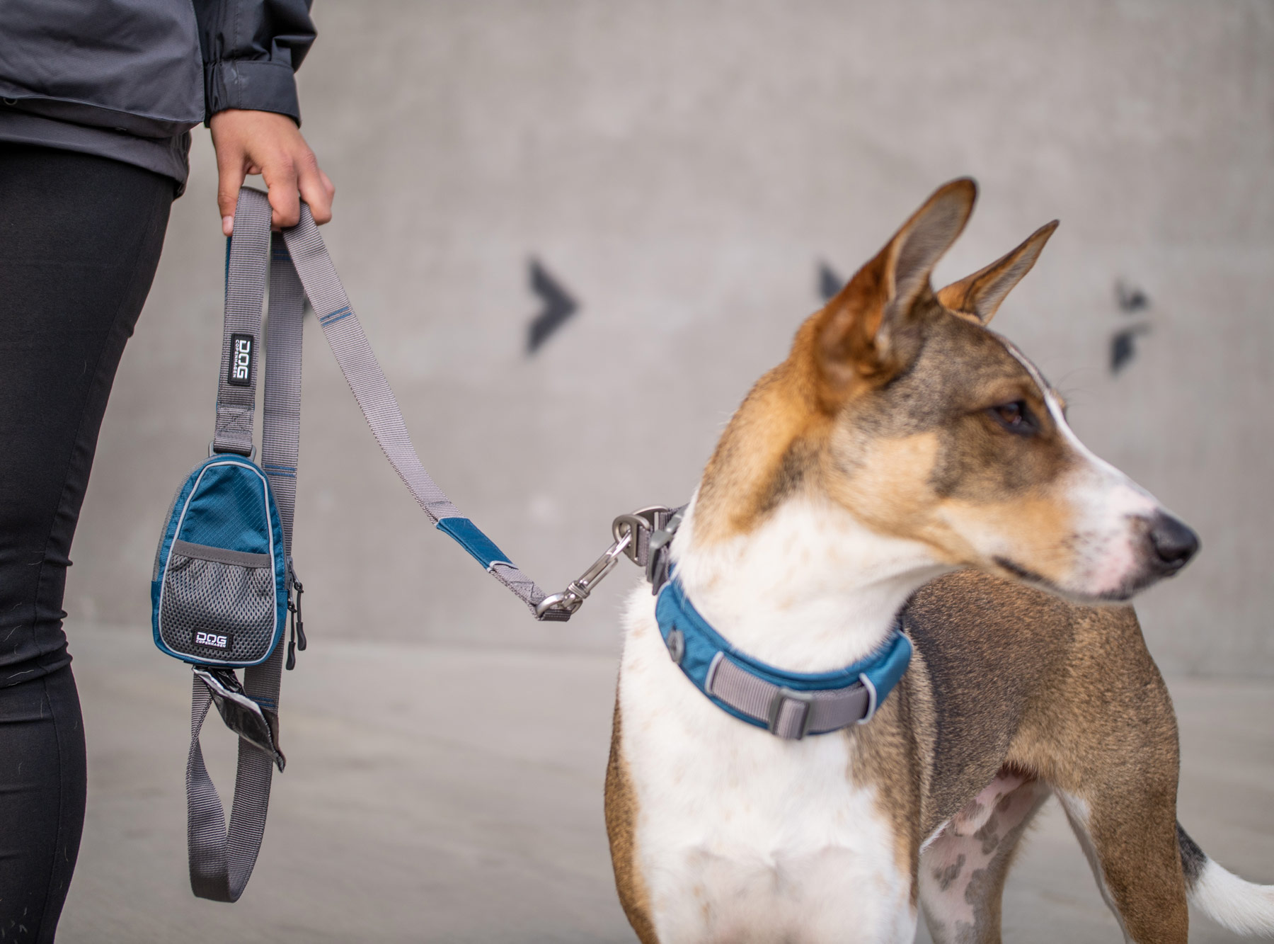 DOG Copenhagen Comfort Walk Air Harness